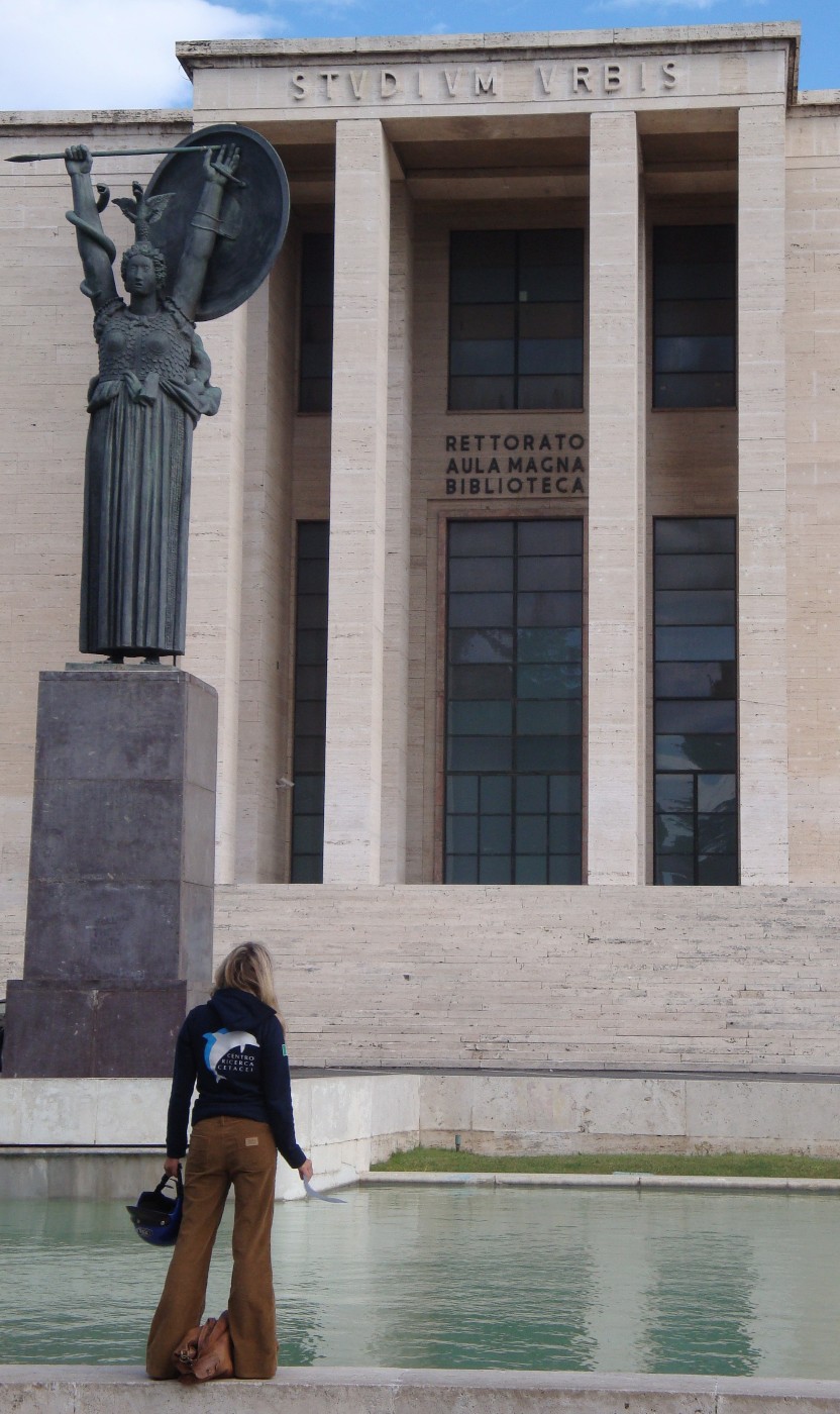 Università laSapienza con i Cetacei