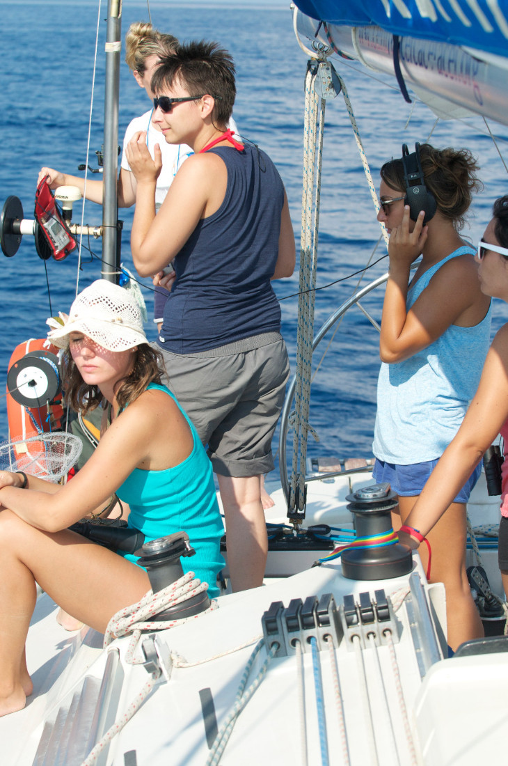 Gruppo ragazzi ricerca delfini